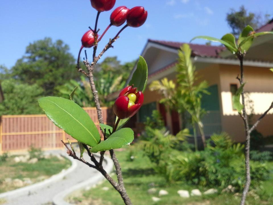 Villa De Mama Rawai Rum bild